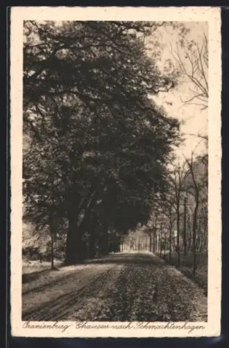 AK Oranienburg, Chaussee nach Schmachtenhagen
