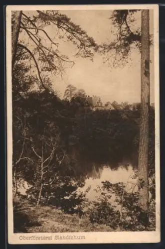 AK Siehdichum, Oberförsterei