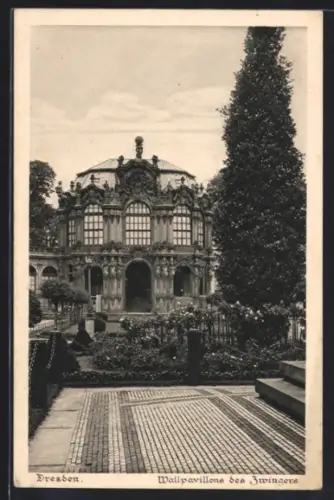 AK Dresden, Wallpavillon des Zwingers