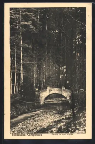 AK Dresden-Klotzsche, Partie in der Heide