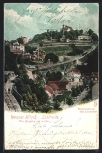 AK Dresden-Loschwitz, Drahtseilbahn, Luisenhof vom Burgberg aus gesehen