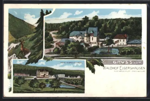 Lithographie Elgershausen, Waldhof Elgershausen, Prinz-Albrecht-Haus, Landschaft