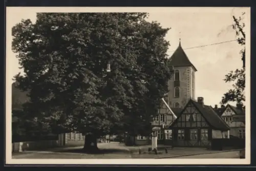 Foto-AK Preetz /Holstein, Ortspartie mit grossem Baum und Kirche