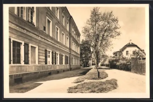 AK Gnadau /Magdeburg, Allee mit Direktorhaus und Gartenanlage