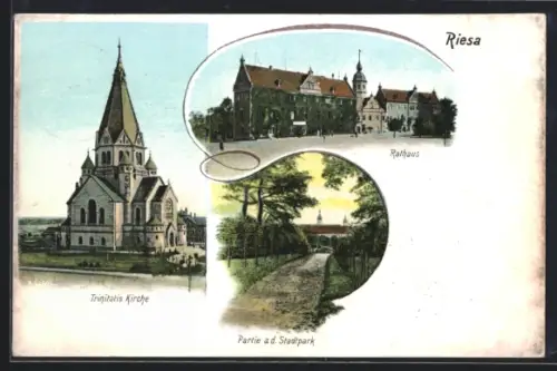 AK Riesa, Trinitatis Kirche, Rathaus, Partie a. d. Stadtpark