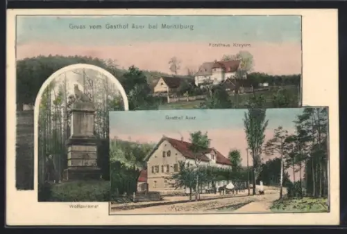 AK Moritzburg, Gasthof Auer, Forsthaus Kreyern, Wolfdenkmal