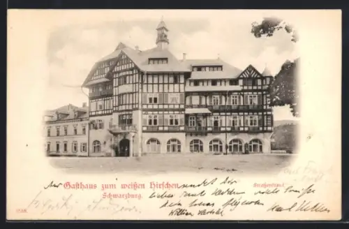 AK Schwarzburg, Gasthaus zum weissen Hirschen - Strassenfront