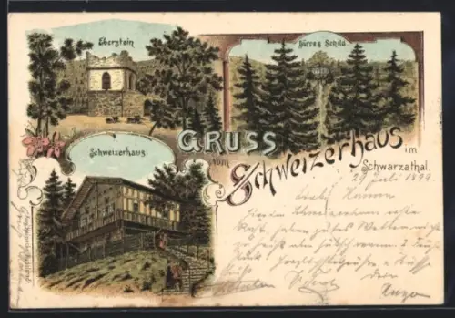 Lithographie Schwarzathal, Eberstein, Schweizerhaus, Dürres Schild