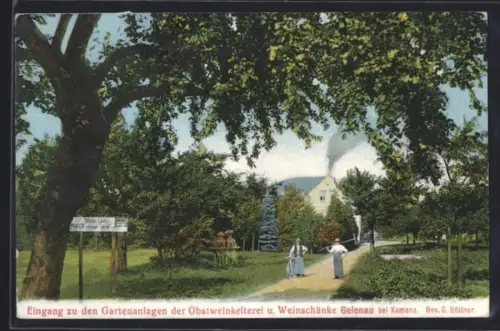 AK Gelenau, Gasthof und Obstweinkelterei Gelenau