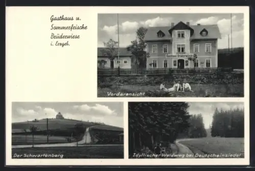 AK Deutscheinsiedel i. Erzgeb., Gasthaus Brüderwiese, Schwartenberg, Waldweg