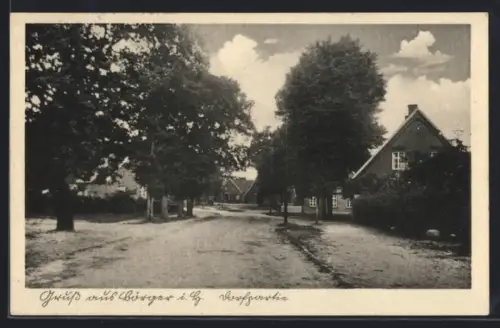 AK Börger i. H., Dorfstrasse