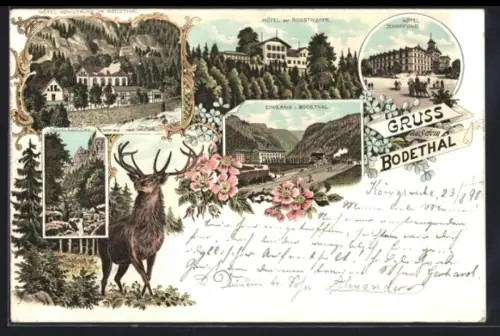 Lithographie Thale, Hotel Zehnpfund, Bodethaleingang, der Hexentanzplatz