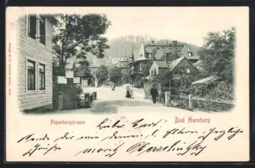 AK Bad Harzburg, Papenbergstrasse
