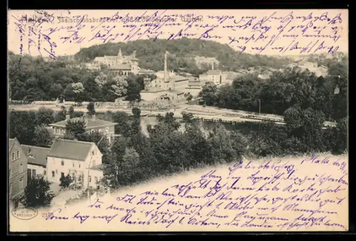 AK Halle /Saale, Saalschlossbrauerei, Zoologischer Garten