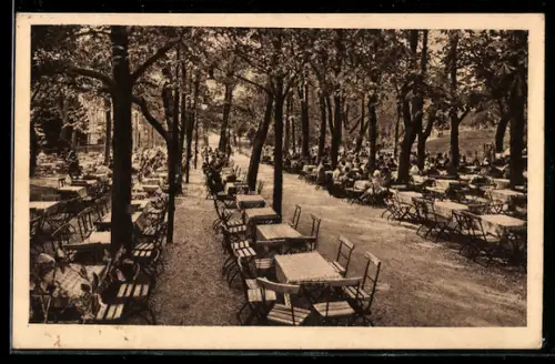 AK Halle a. S., Restaurant Saalschloss-Brauerei, Inh. Paul Winkler