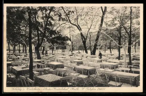 AK Halle /S., Gasthof Schurig`s Waldkater