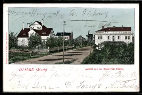 AK Dahme /Mark, Partie in der Herzberger Strasse mit Villen