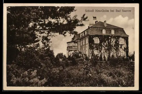 AK Neu-Golm, Blick zum Schloss