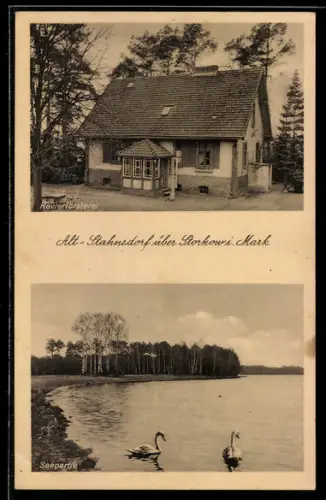 AK Alt-Stahnsdorf, Revierförsterei, Seepartie mit Schwanenpaar
