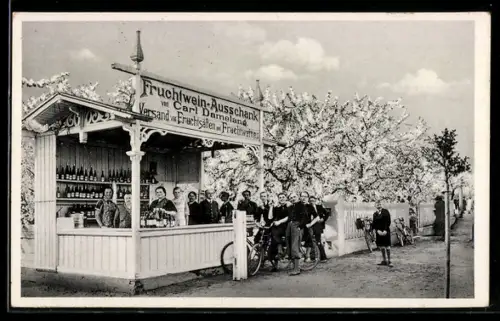 AK Werder a. H., Baumblüte, Fruchtwein-Ausschank von Carl Damelang