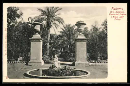 AK Palermo, Orto Botanico-Vasca del Paride e Viale delle Palme