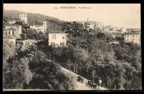 AK Bordighera, Via Romana con vista panoramica e carrozza trainata da cavalli tra gli ulivi