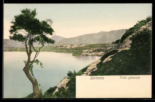 AK Sorrento, Vista generale