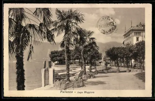 AK Pallanza /Lago Maggiore, Passeggiata con palme e Hotel Métropole sullo sfondo