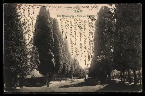 AK Frascati, Villa Mondragone, Viale dei Cipressi