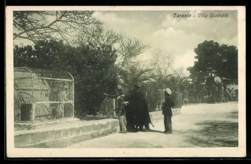 AK Taranto, Villa Garibaldi con visitatori sul viale alberato