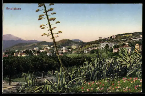 AK Bordighera, Vista panoramica sulla città con vegetazione lussureggiante e colline sullo sfondo