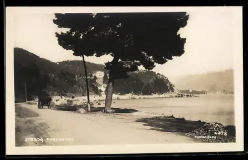 AK Portofino, Strada Portofino con carrozza e vista sulla costa alberata