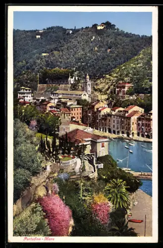 AK Portofino Mare, Vista sul porto con barche e case colorate circondate da colline verdi