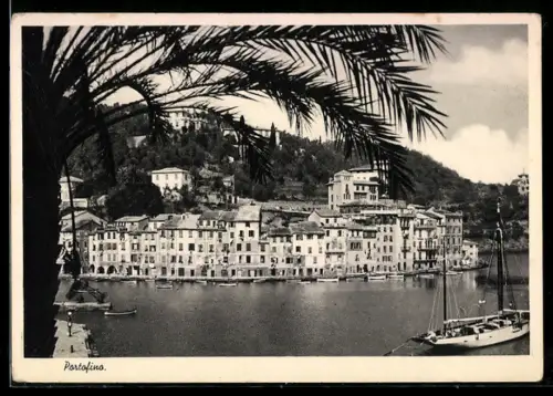 AK Portofino, Vista sul porto con barche a vela e palme in primo piano