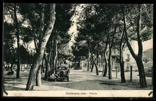 AK Giulianova, Giulianova Lido, Pineta, Viale alberato con automobile tra i pini