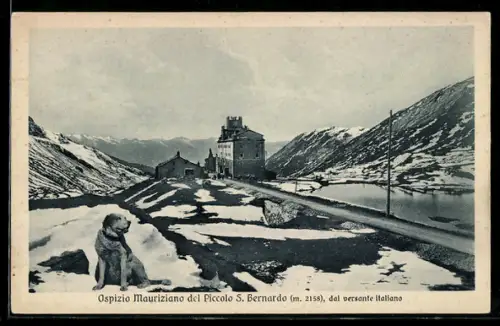 AK Aosta /Valle d`Aosta, Dal versante italiano con vista montana innevata e cane in primo piano