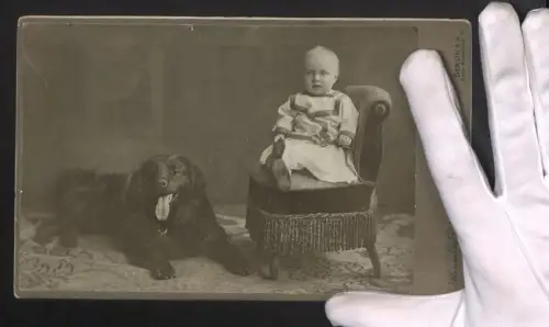 Fotografie Alexander Schmoll, Berlin, Belle-Alliancestrasse 91, Hechelnder Hund liegt neben einem sitzenden Kleinkind