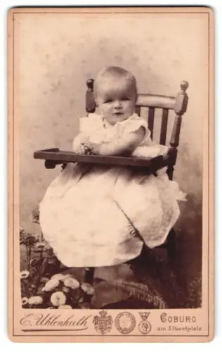 Fotografie E. Uhlenhuth, Coburg, Albertsplatz, Porträt des Kleinkind Hans E., 1890
