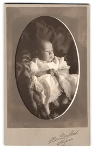 Fotografie Miss Lindblad, Nybro, Porträt des Kleinkinds Georg, 1909