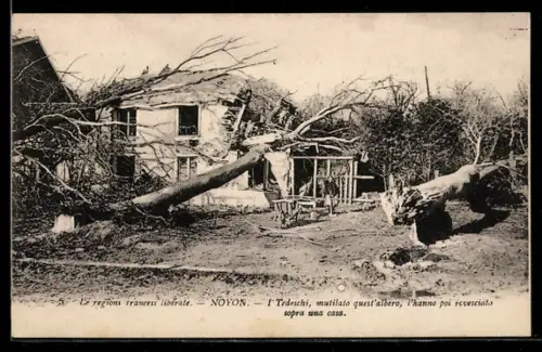 AK Noyon, Le region trancesi liberate