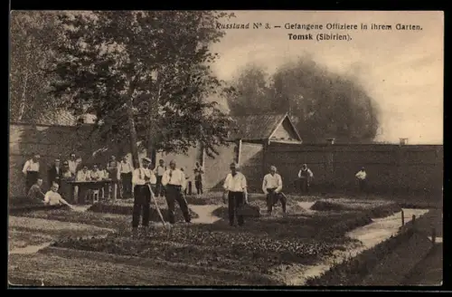 AK Tomsk, Kriegsgefangenenlager, Gefangene Offiziere in ihrem Garten