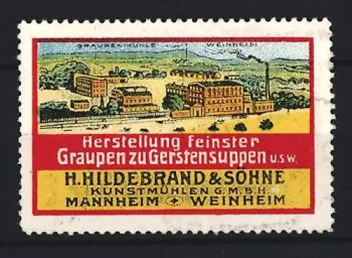 Reklamemarke Mannheim, H. Hildebrand & Söhne, Gerstensuppen, Graupen zu Gerstensuppen, Fabrikansicht