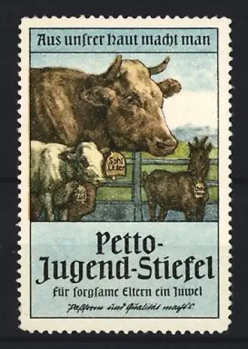 Reklamemarke Petto-Jugend, Stiefel, Kühe und Kälber in Weide
