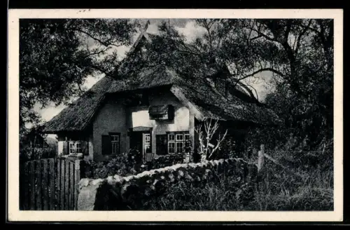 AK Ahrenshoop /Pom., Reetgedecktes Bauernhaus