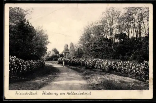 AK Friesack /Mark, Fliederweg am Heldendenkmal
