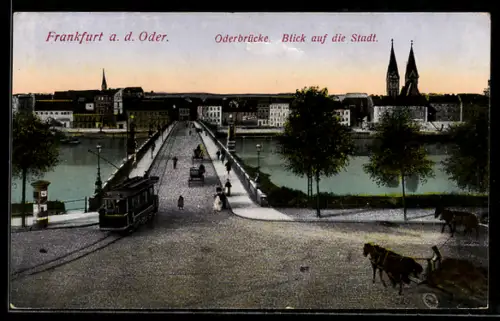 AK Frankfurt a. d. Oder, Oderbrücke, Blick auf die Stadt, Strassenbahn