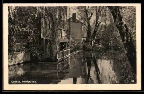 AK Cottbus, Mühlgraben, Ortspartie