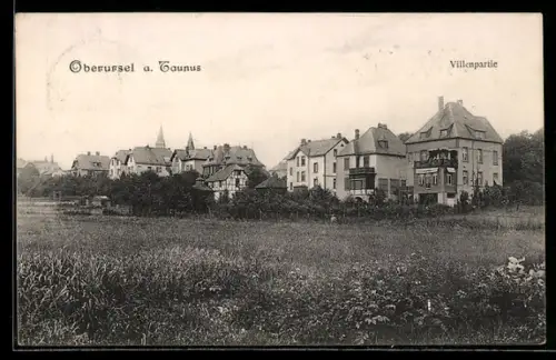 AK Oberursel a. Taunus, Villenpartie