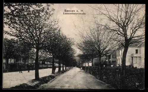 AK Seesen a. H., Lautenthalerstrasse, Villen