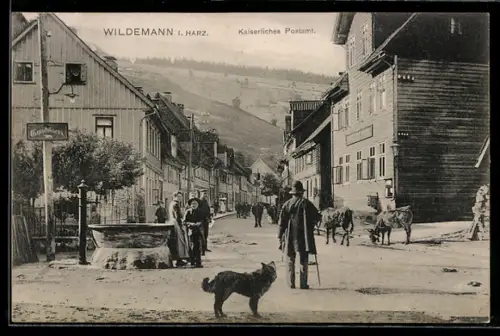 AK Wildemann i. Harz, Kaiserliches Postamt, Brunnen, Kälber, Hund, Konditoreischild